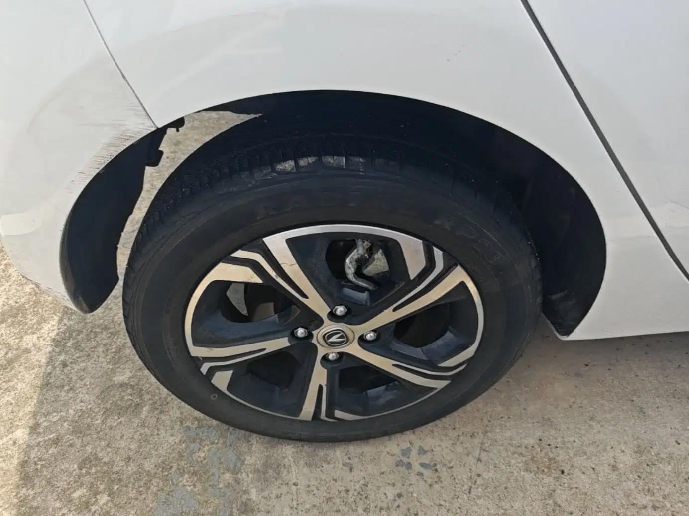 CHANGAN Benni E-Star 2020 Heartbeat Edition NMC Lithium — миниатюра 11