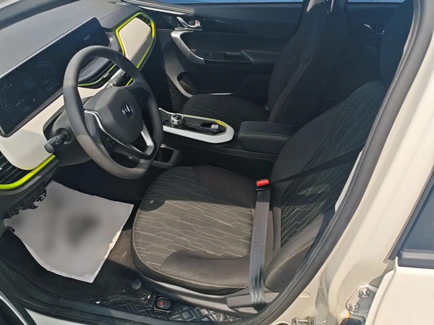 CHANGAN Benni E-Star 2020 Heartbeat Edition NMC Lithium — миниатюра 17