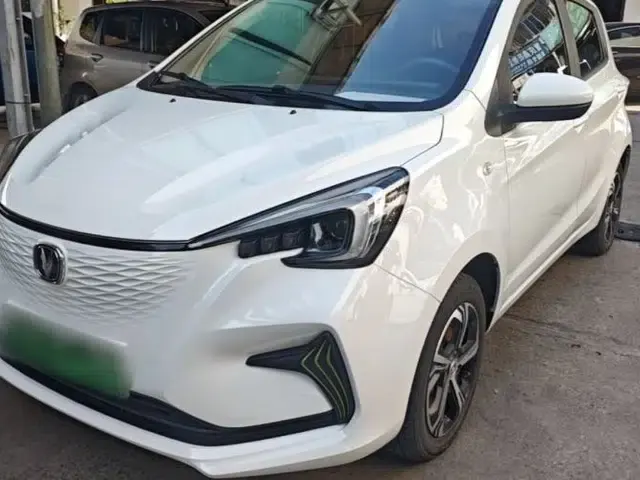 CHANGAN Benni E-Star 2022 Qingxin Edition Colorful Model Lithium Iron Phosphate