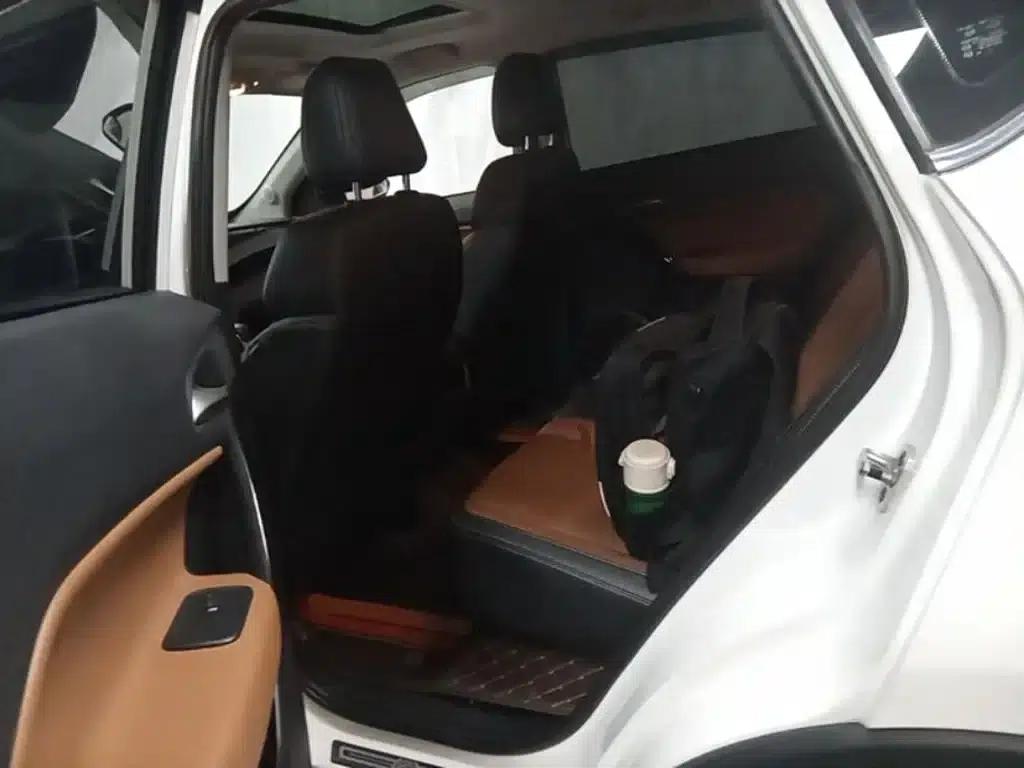 2016 GS 2.0TGI TST 4WD Flagship Edition — миниатюра 17