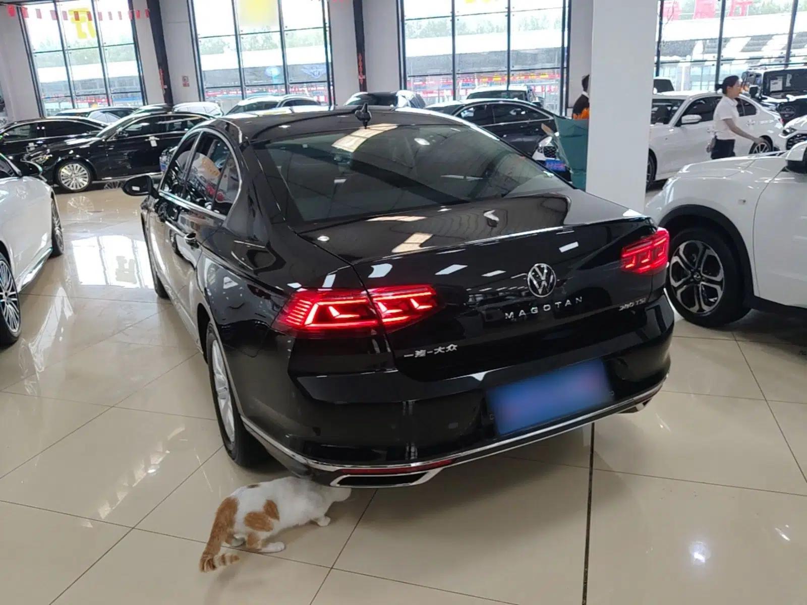 Volkswagen Magotan 2020 280TSI DSG Comfort Edition — миниатюра 4