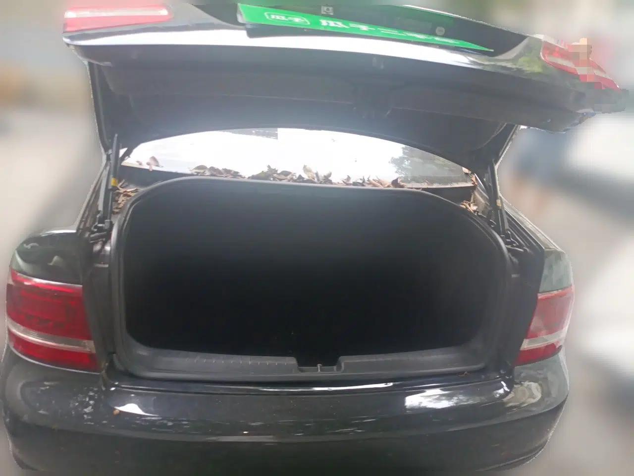 Volkswagen Passat 2011 1.8T Automatic Luxury Model — миниатюра 19