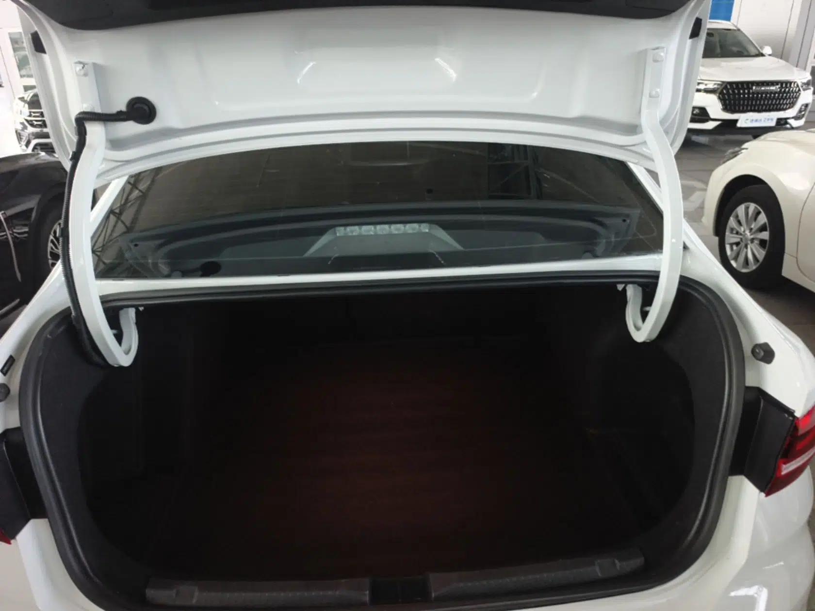 Volkswagen Lavida 2023 300TSI DSG Starry Full-Comfort Edition — миниатюра 22