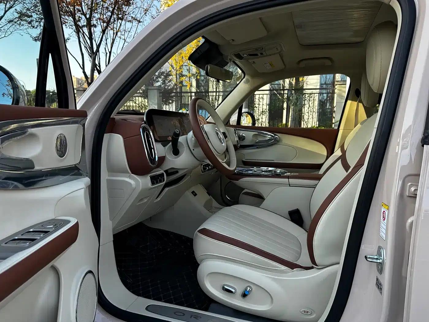 Euler Ballet Cat 2023 Model 401km Premium — миниатюра 14