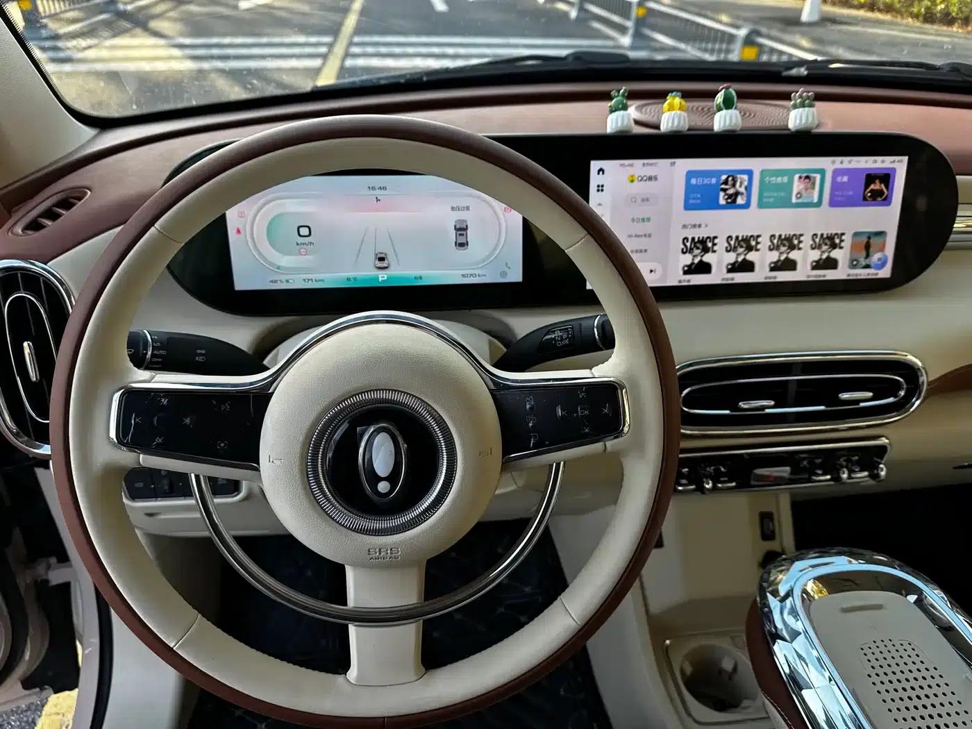 Euler Ballet Cat 2023 Model 401km Premium — миниатюра 15
