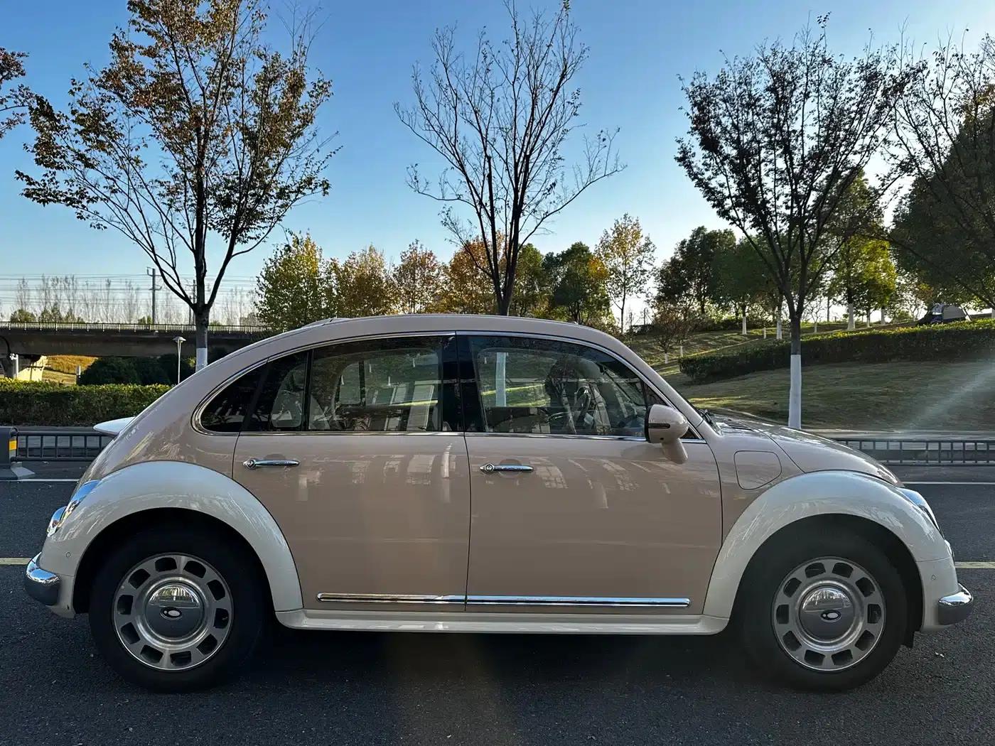 Euler Ballet Cat 2023 Model 401km Premium — миниатюра 17