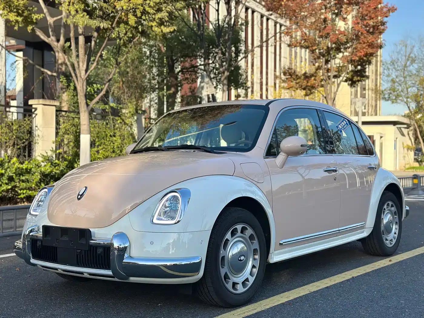 Euler Ballet Cat 2023 Model 401km Premium — миниатюра 18
