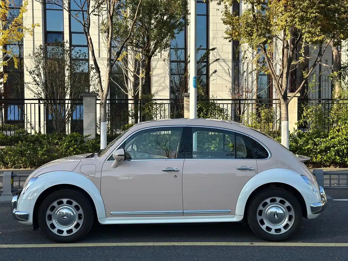 Euler Ballet Cat 2023 Model 401km Premium — миниатюра 4