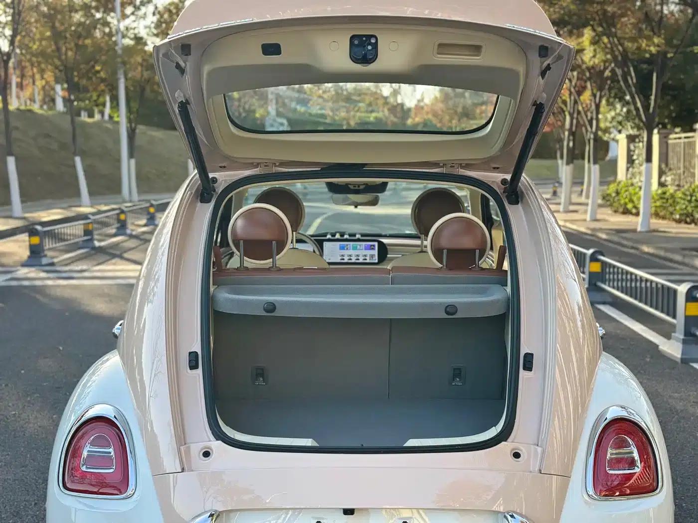 Euler Ballet Cat 2023 Model 401km Premium — миниатюра 8