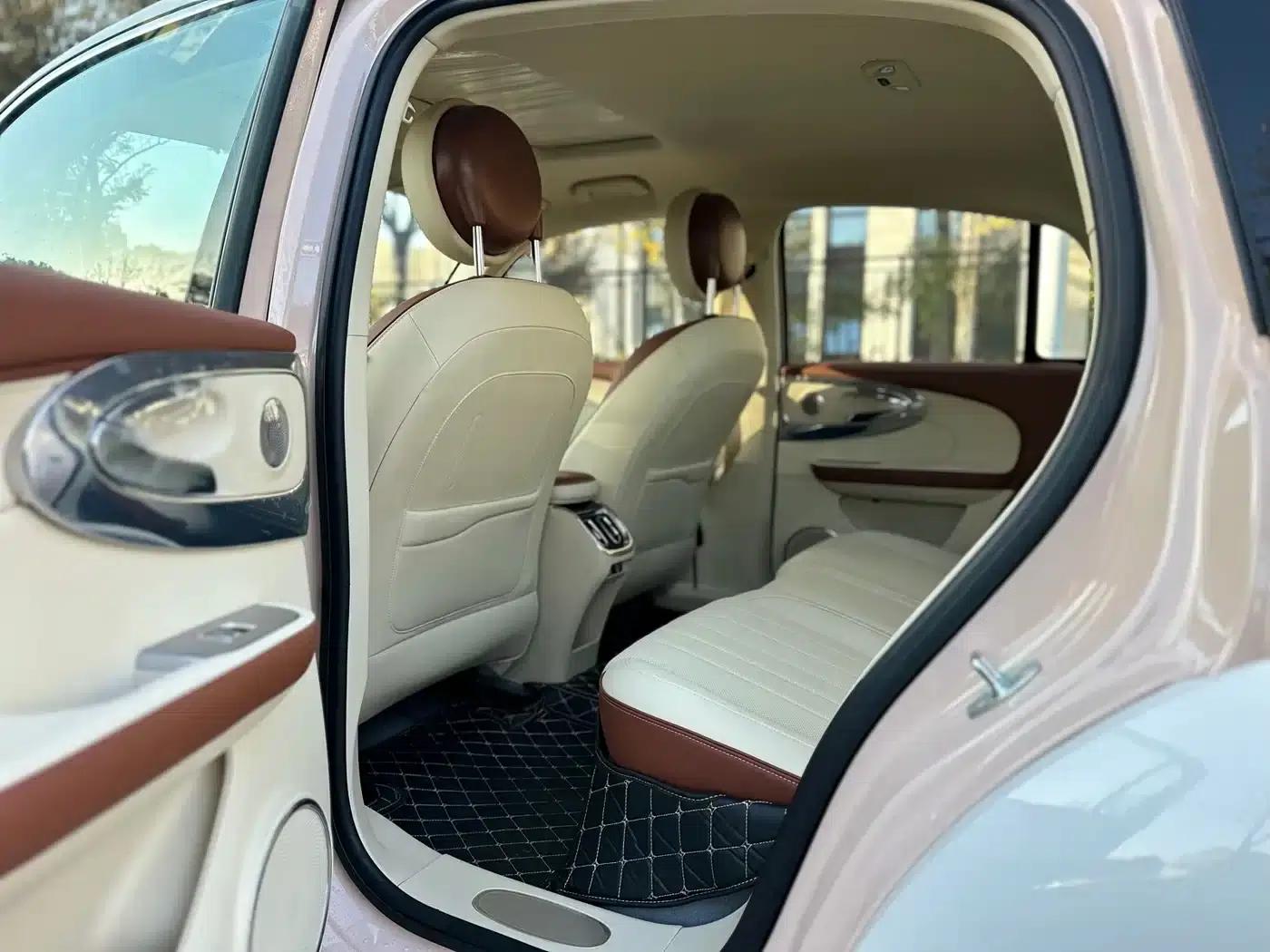 Euler Ballet Cat 2023 Model 401km Premium — миниатюра 10