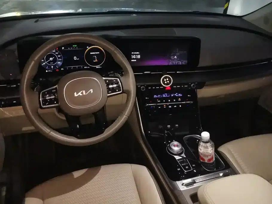Carnival 2021 2.0T Flagship Edition — миниатюра 12