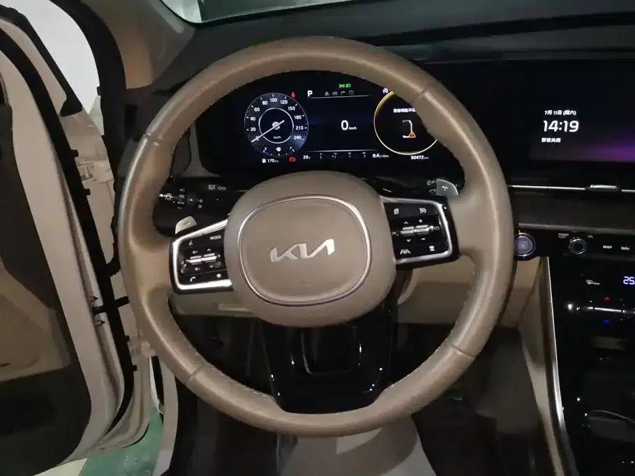 Carnival 2021 2.0T Flagship Edition — миниатюра 15