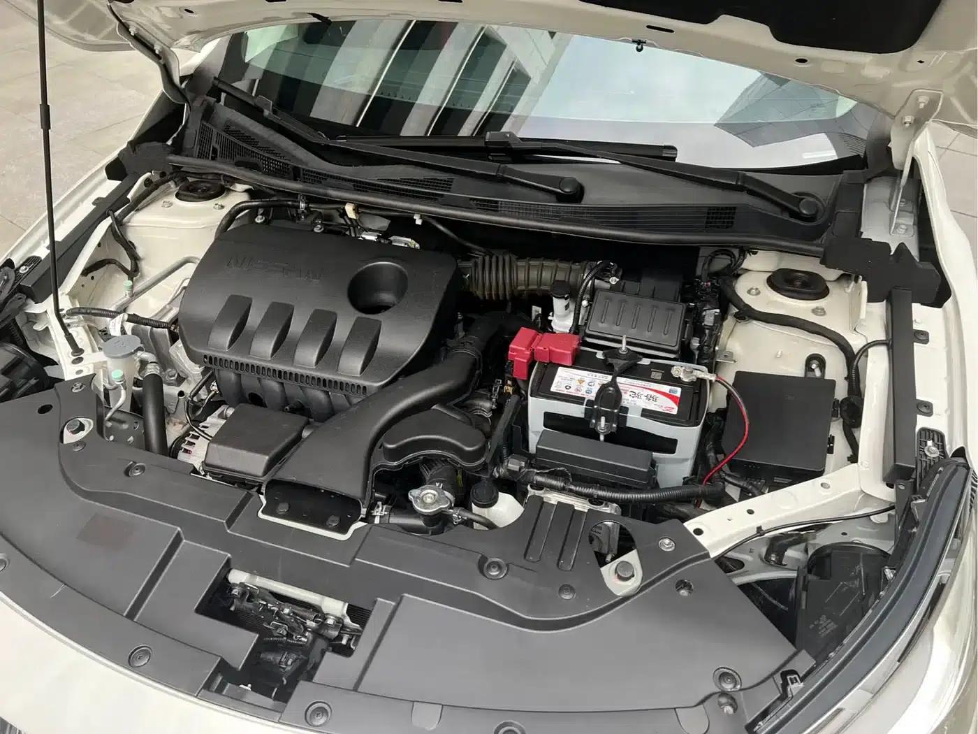 Venucia D60 2019 1.6L XL CVT Intelligent Elite Edition — миниатюра 21