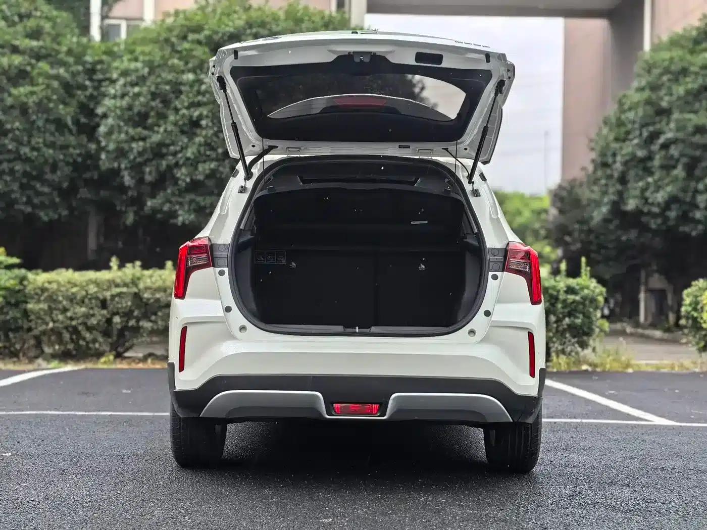 Venucia T60EV 2023 Comfort Edition — миниатюра 18