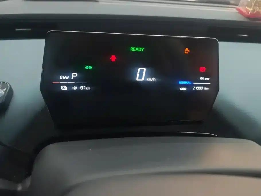 Little Ant 2024 Facelift 321km Favorite Edition — миниатюра 14