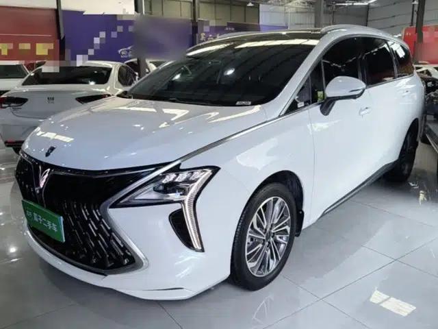 FORTHING Yacht 2024 1.5T DCT Guanhai Edition