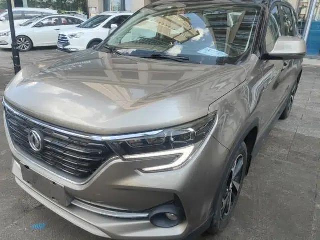 FORTHING T5 2020 1.5T Automatic Luxury Model China VI Standard
