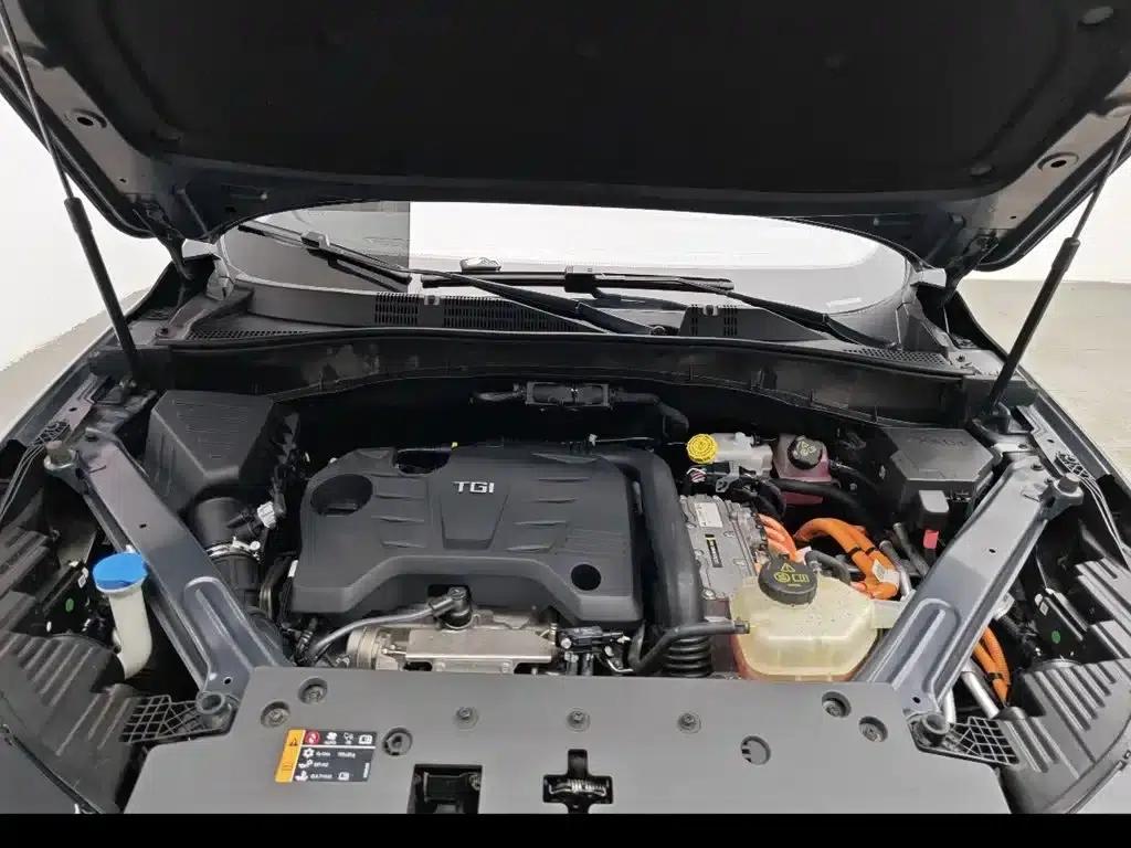 Roewe RX5 New Energy 2021 ePLUS National Trend Ronglin Luxury Edition — миниатюра 6
