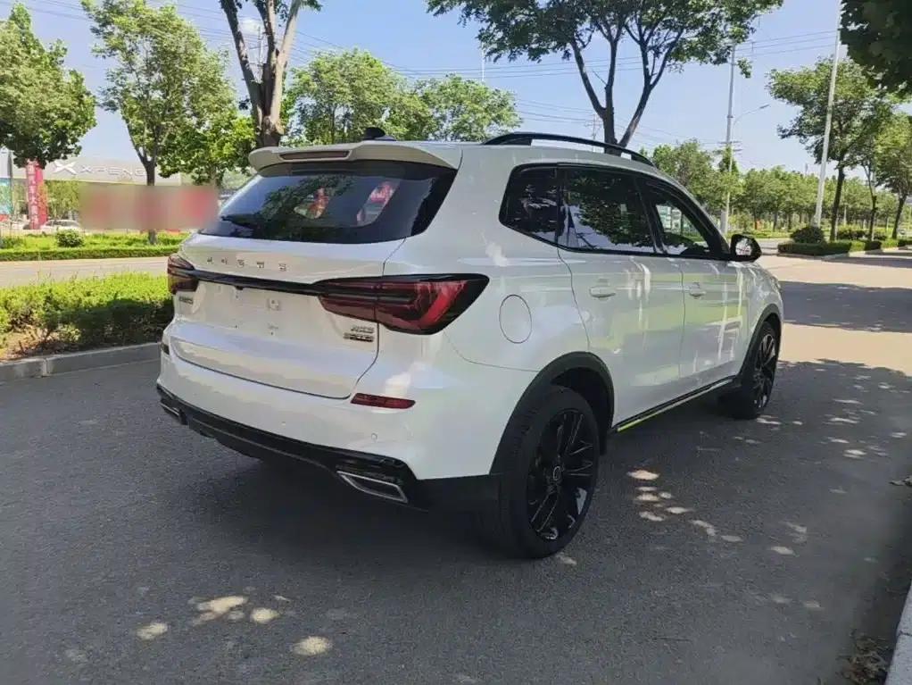 Roewe RX5 New Energy 2020 ePLUS National Trend Ronglin Luxury Edition — миниатюра 7
