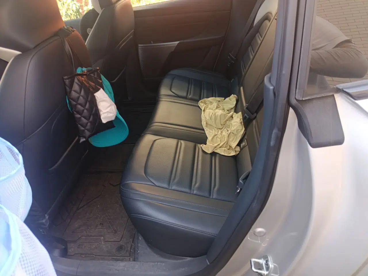 Dongfeng eπ eπ007 2024 620 Pro Version — миниатюра 20