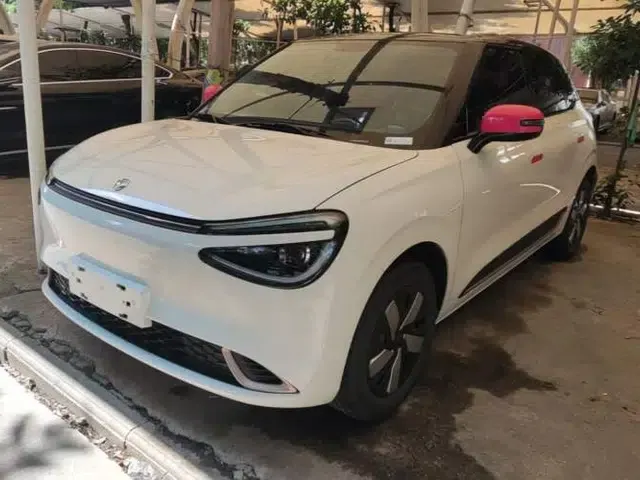 Dongfeng NAMMI 01 2024 New Edition 330 Air