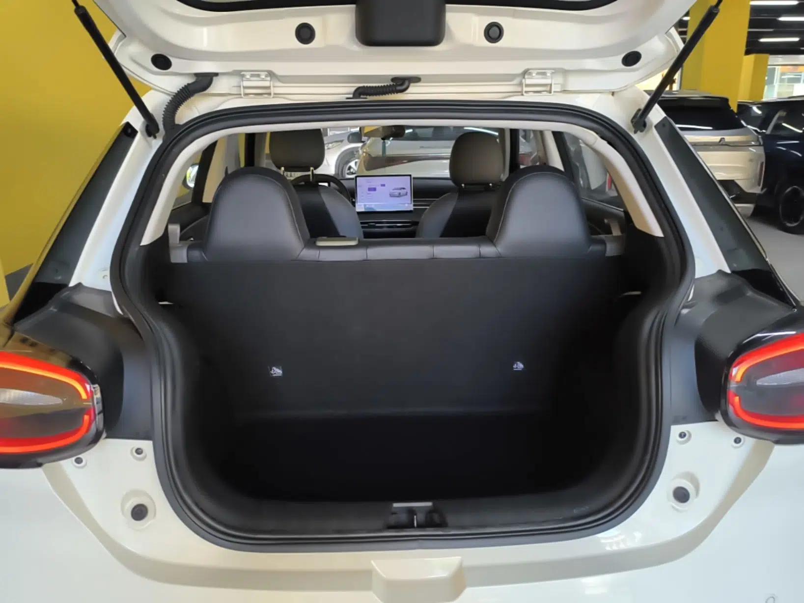 Dongfeng NAMMI 01 2024 430 Plus Smart+ — миниатюра 27