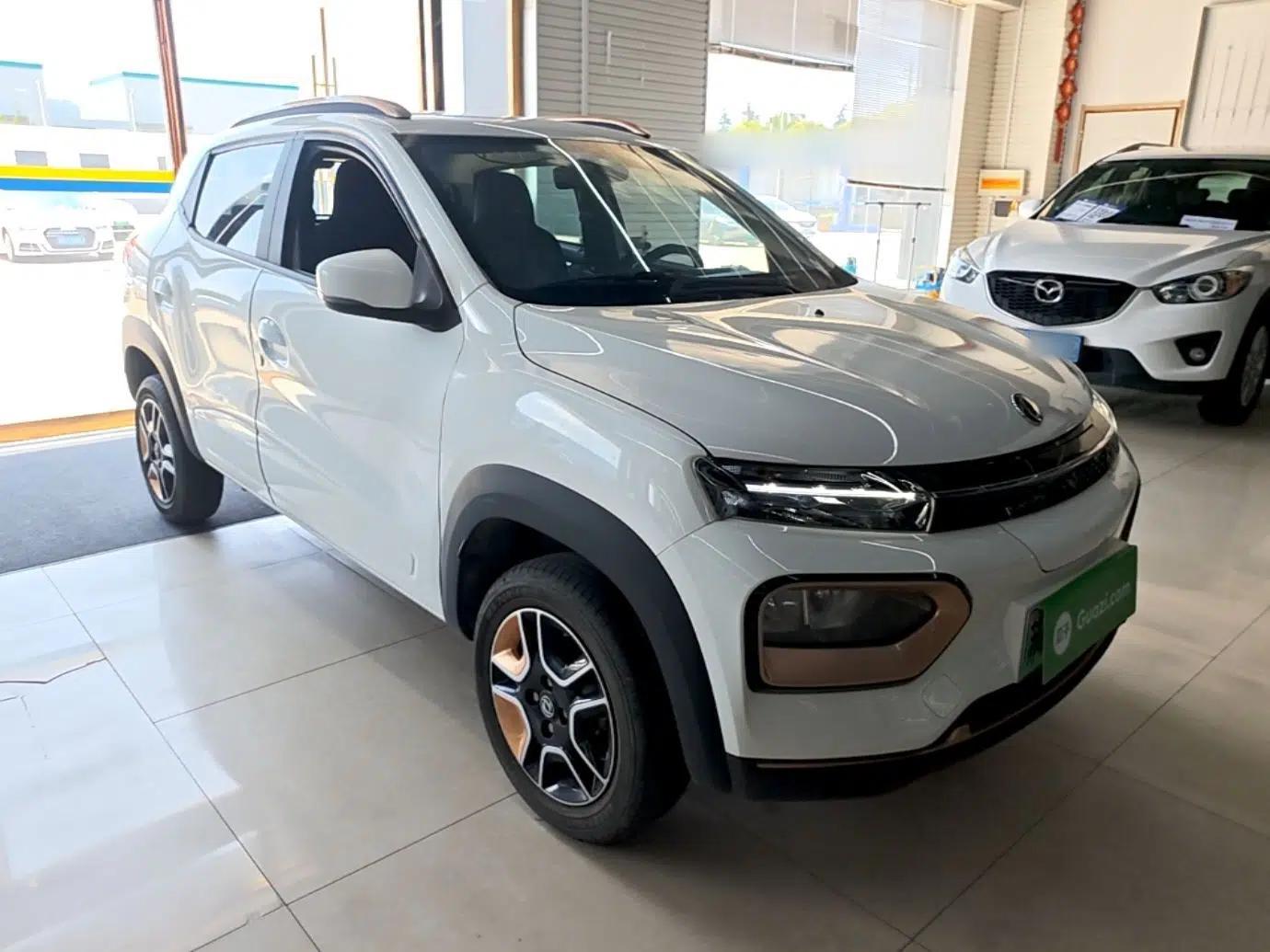Dongfeng NAMMI EX1 2023 PRO Light Wind Edition Lightning Model — миниатюра 12