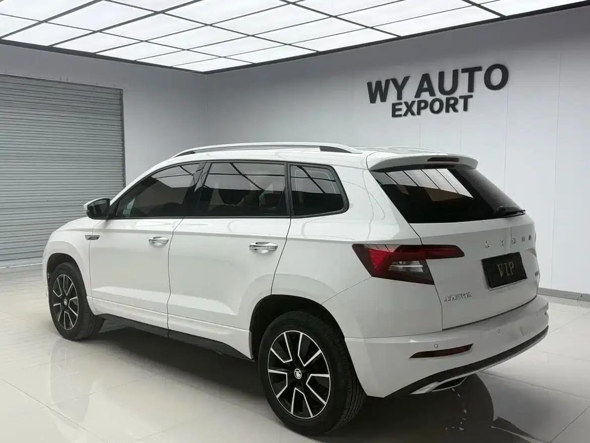 Karoq 2022 TSI280 Premium Edition — миниатюра 2