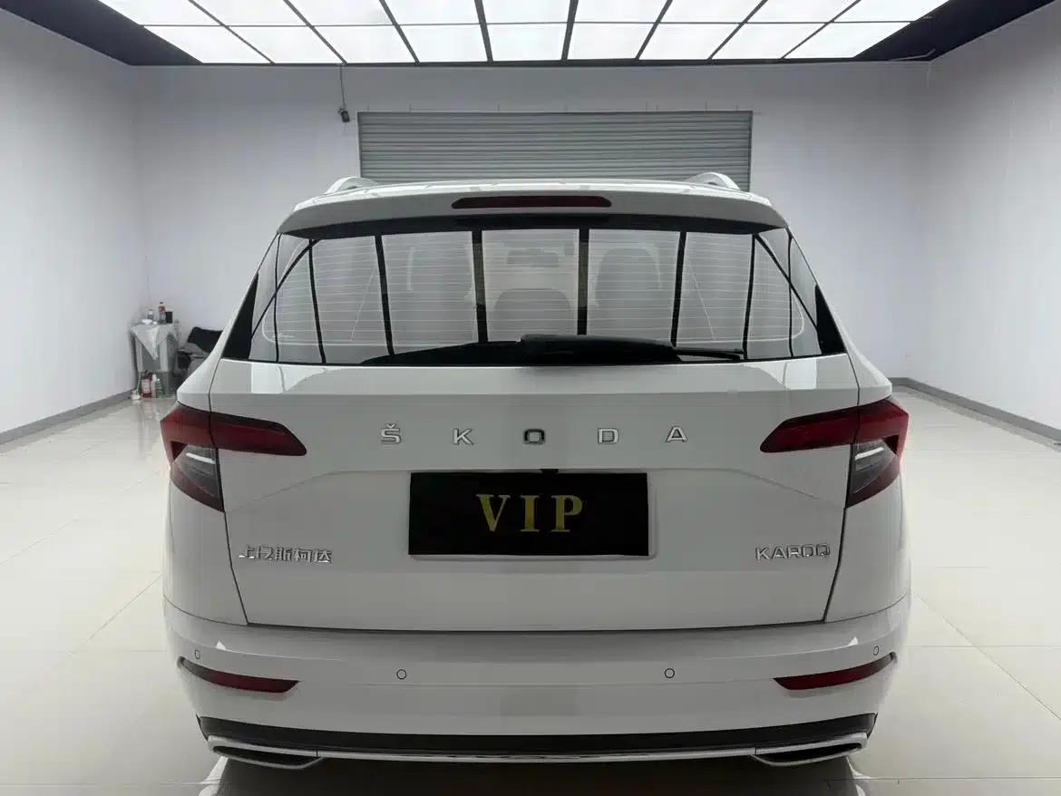 Karoq 2022 TSI280 Premium Edition — миниатюра 3