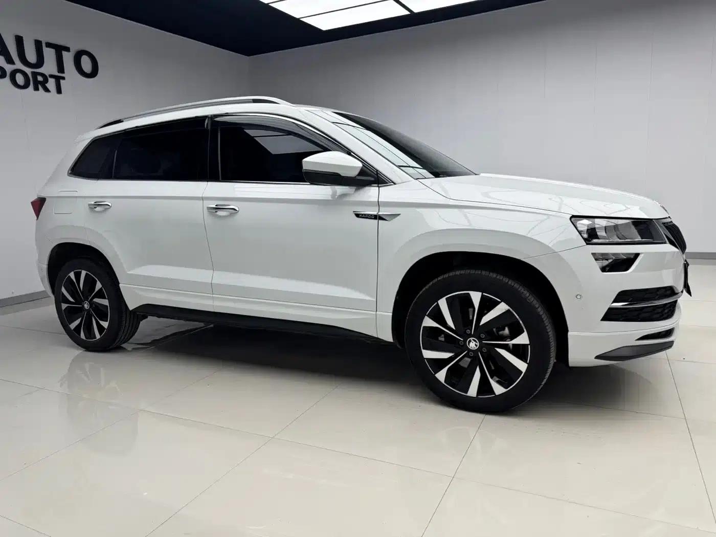 Karoq 2022 TSI280 Luxury Edition — миниатюра 3