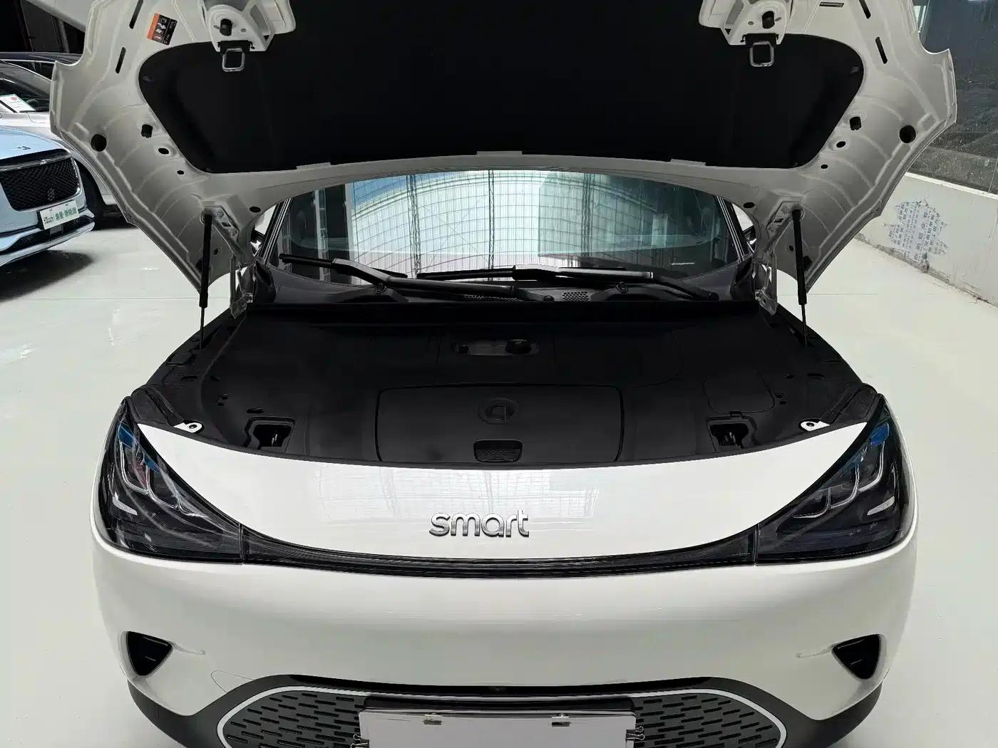 Smart Sprite #1 2022 Pulse Edition — миниатюра 19