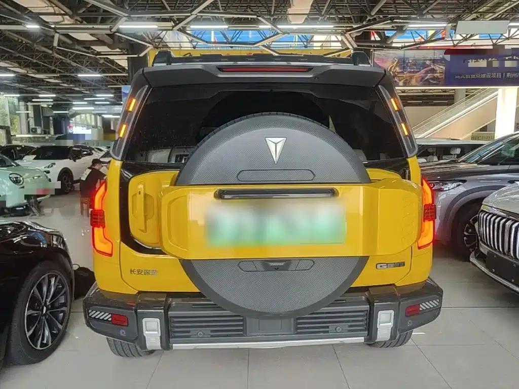 Deep Blue G318 2025 Worry-Free Crossing Edition 4WD Secret Realm Edition — миниатюра 6