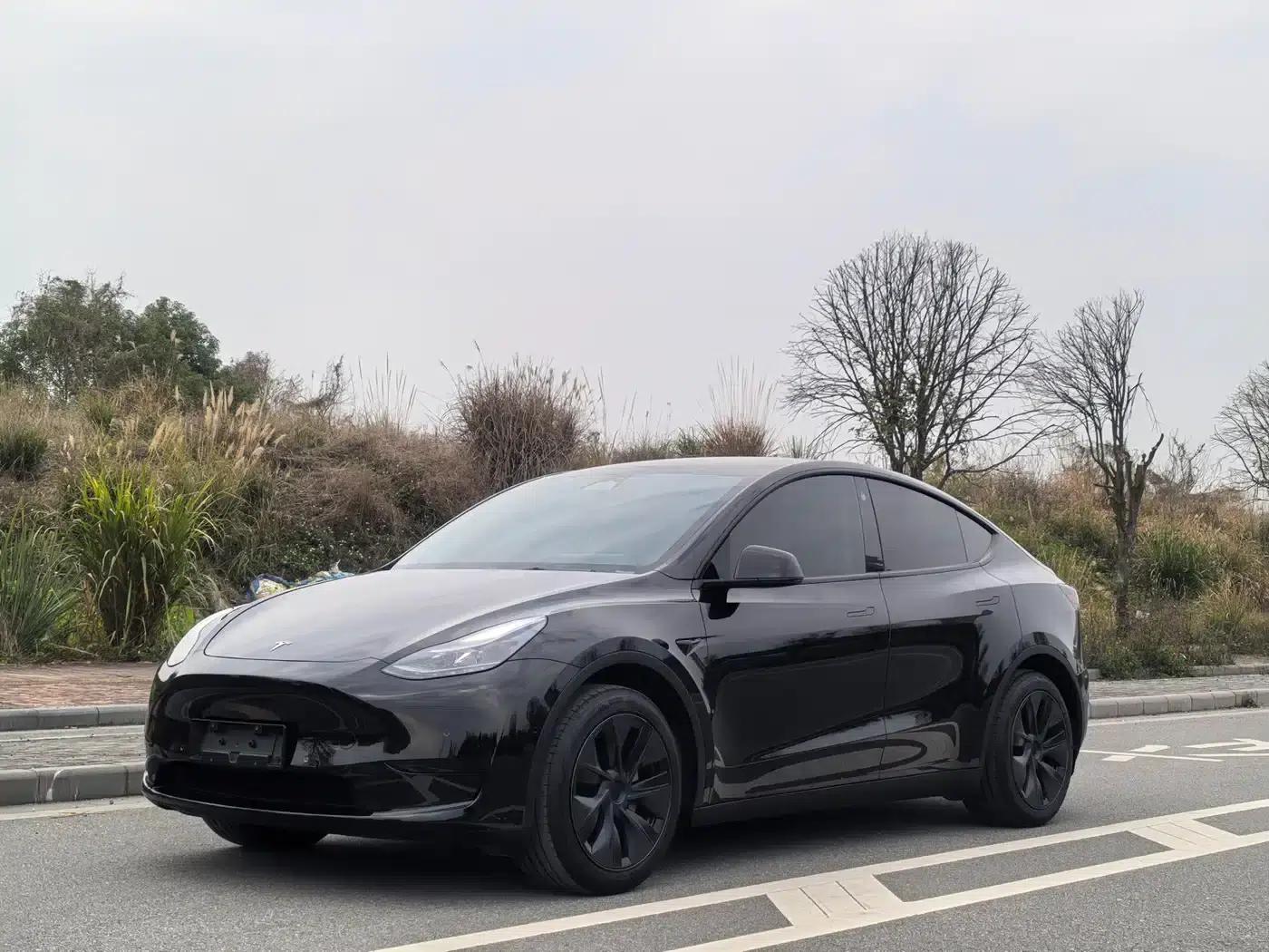 Model Y 2023 Rear-Wheel Drive — миниатюра 1