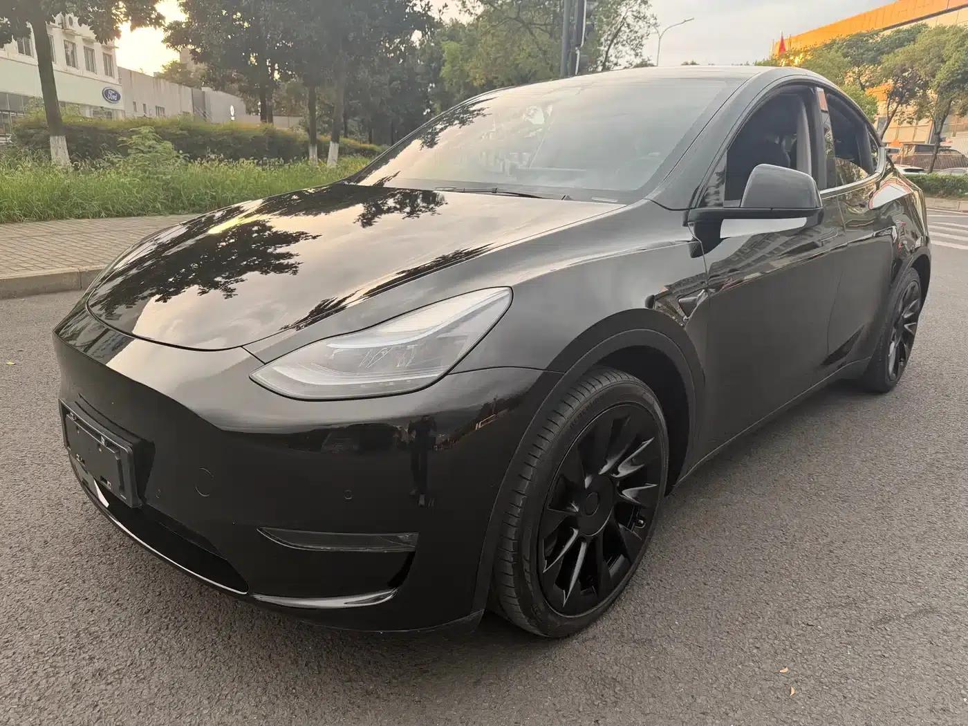 Model Y 2021 Standard Range Rear-Wheel Drive — миниатюра 1