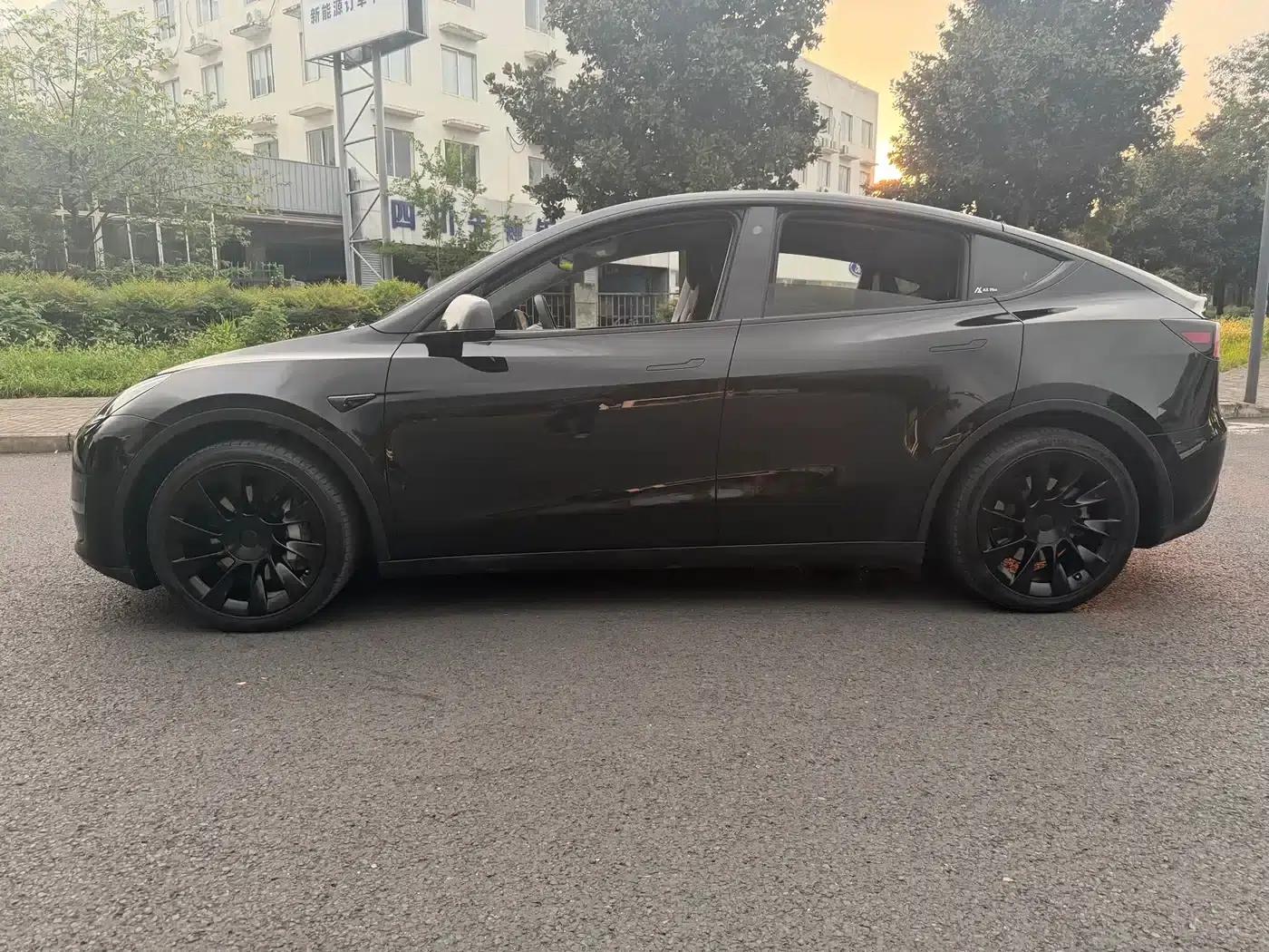 Model Y 2021 Standard Range Rear-Wheel Drive — миниатюра 4