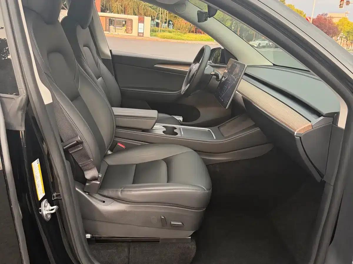 Model Y 2021 Standard Range Rear-Wheel Drive — миниатюра 9