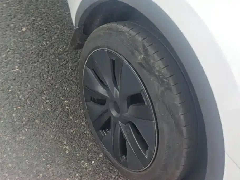 Model Y 2023 Rear-Wheel Drive — миниатюра 6