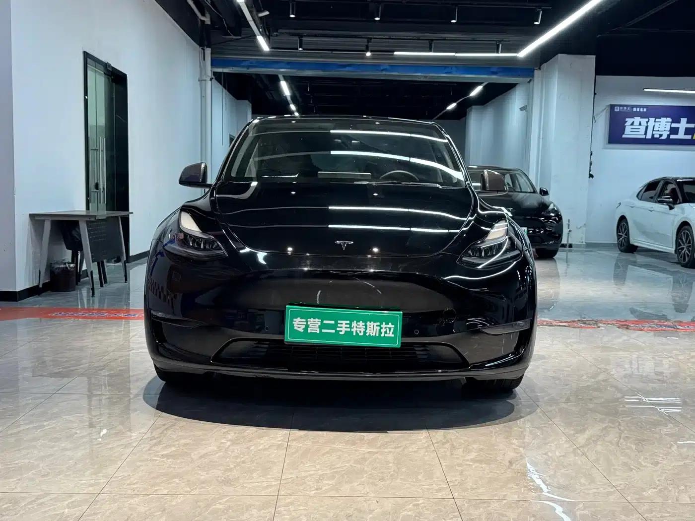 Model Y 2021 Standard Range Rear-Wheel Drive — миниатюра 1