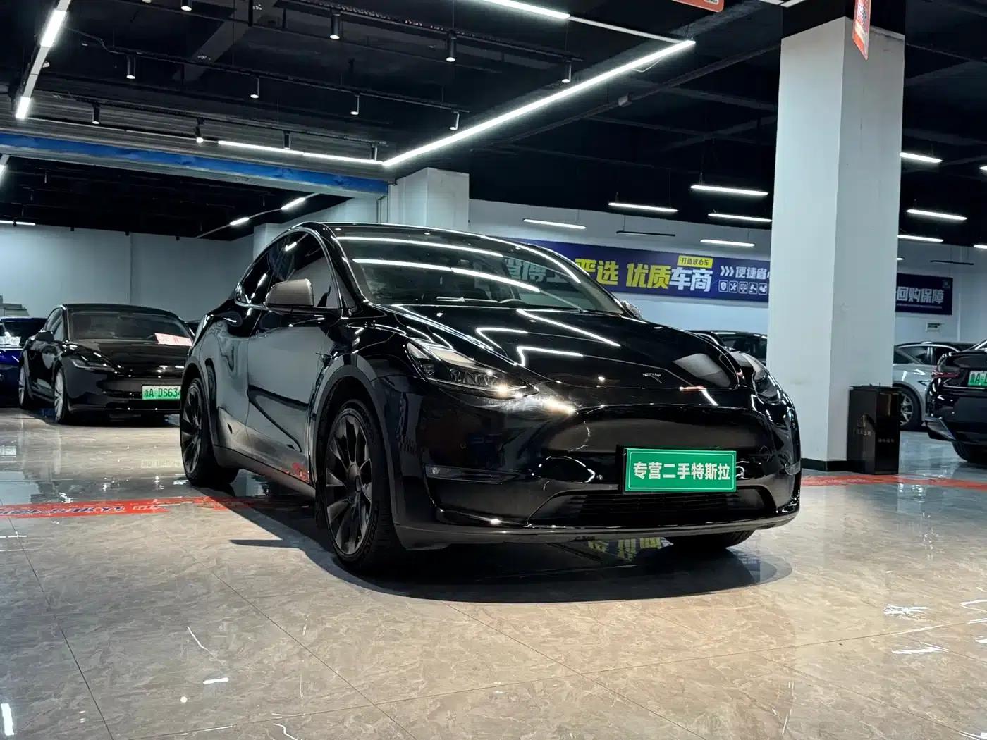 Model Y 2021 Standard Range Rear-Wheel Drive — миниатюра 2