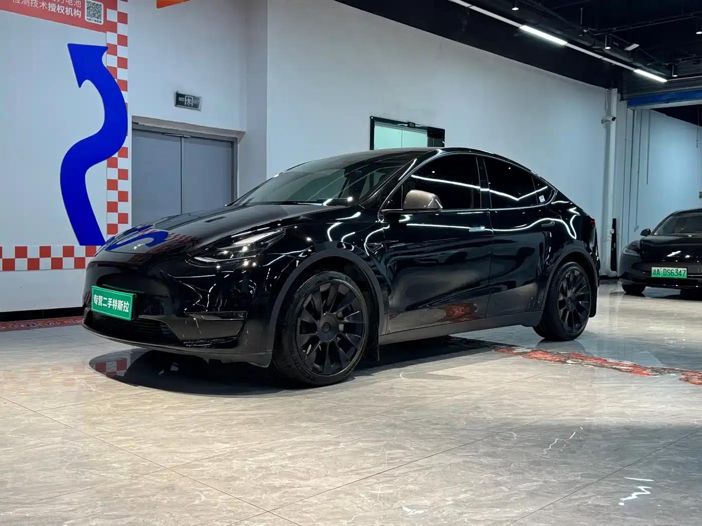 Model Y 2021 Standard Range Rear-Wheel Drive — миниатюра 3