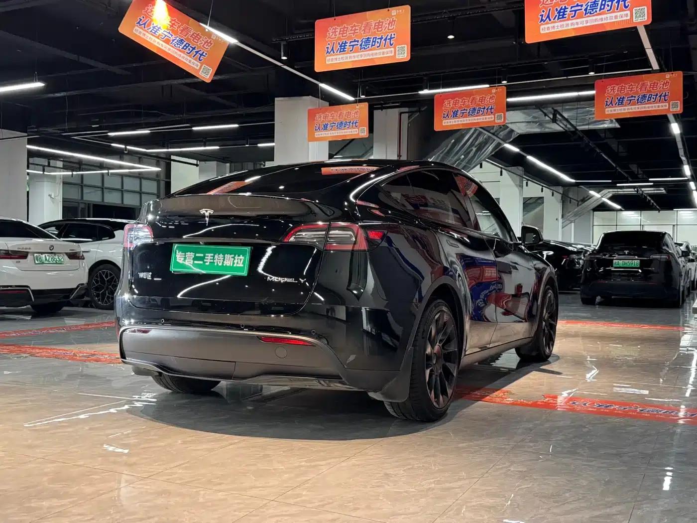 Model Y 2021 Standard Range Rear-Wheel Drive — миниатюра 6