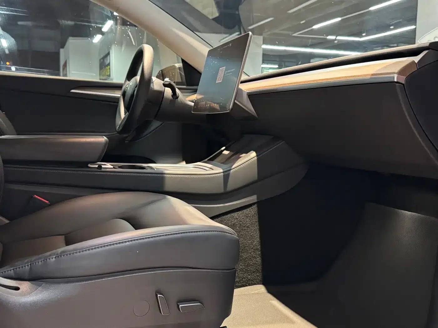 Model Y 2021 Standard Range Rear-Wheel Drive — миниатюра 9