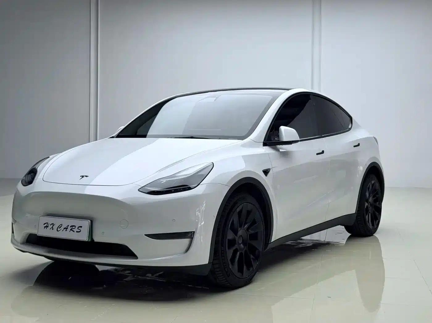 Model Y 2021 Long Range All-Wheel Drive — миниатюра 1
