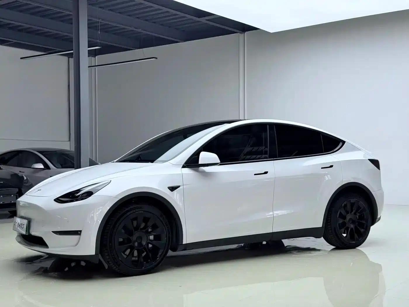 Model Y 2021 Long Range All-Wheel Drive — миниатюра 2