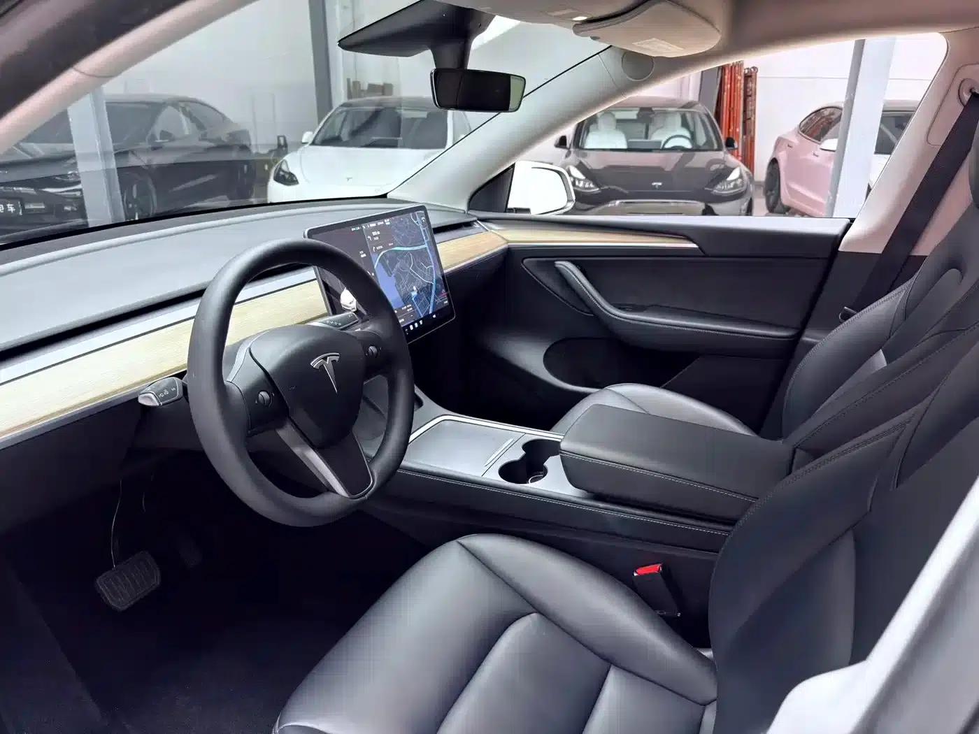 Model Y 2021 Long Range All-Wheel Drive — миниатюра 11