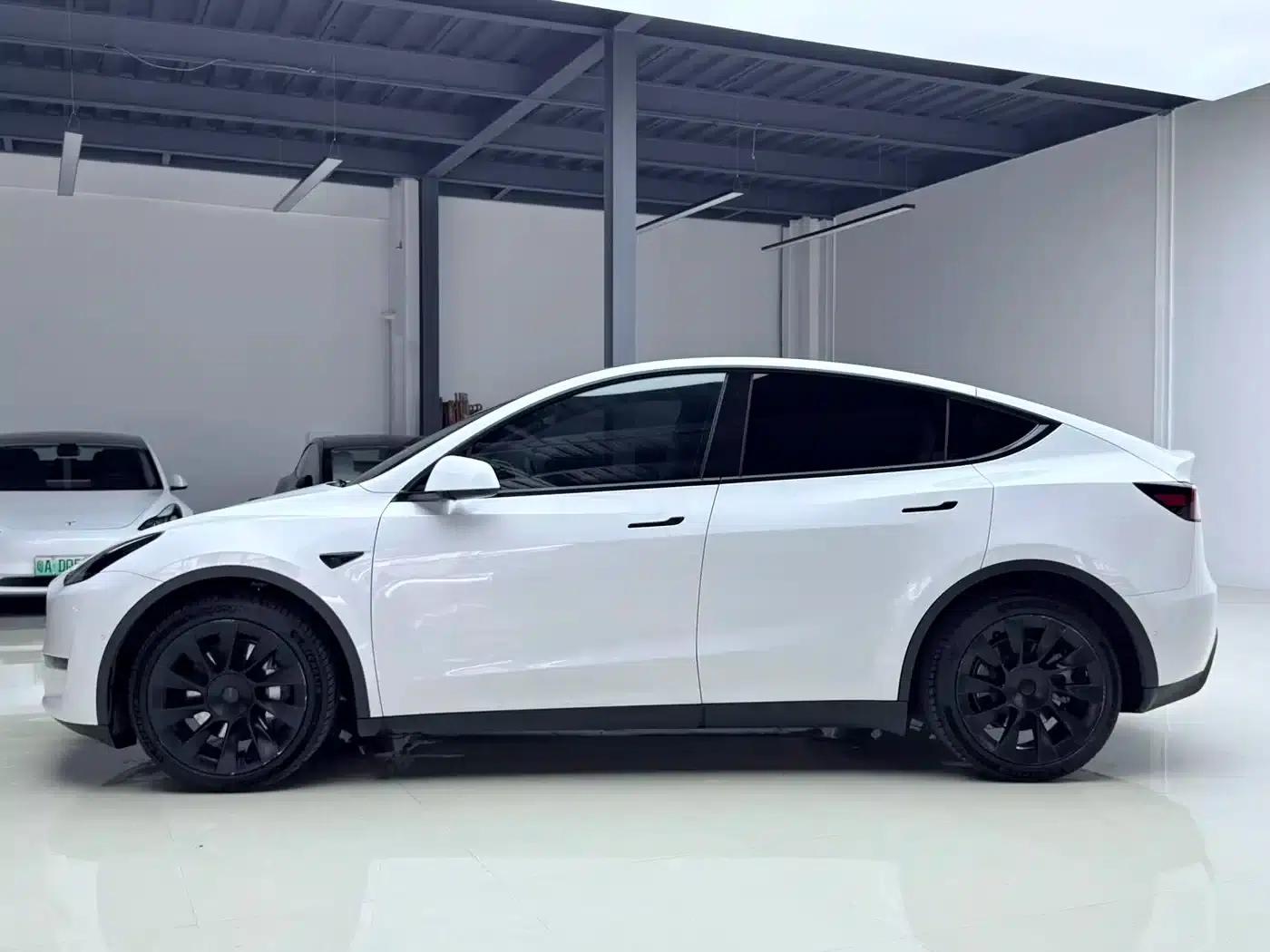 Model Y 2021 Long Range All-Wheel Drive — миниатюра 3
