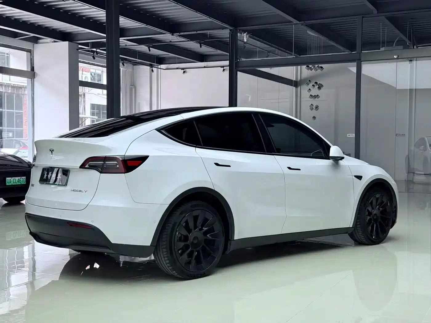 Model Y 2021 Long Range All-Wheel Drive — миниатюра 6