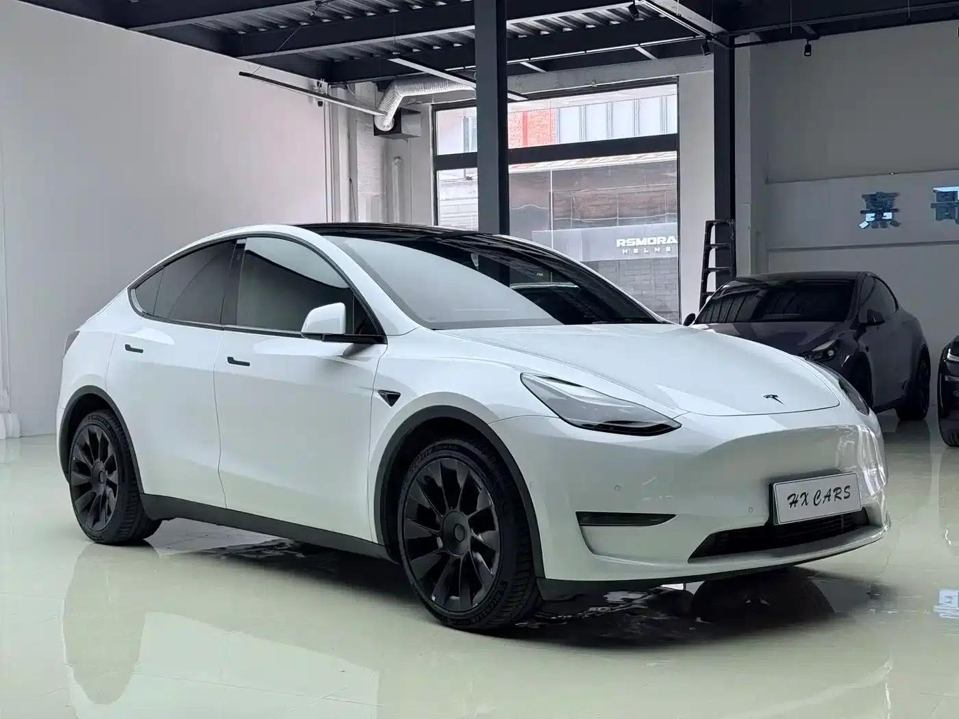 Model Y 2021 Long Range All-Wheel Drive — миниатюра 8