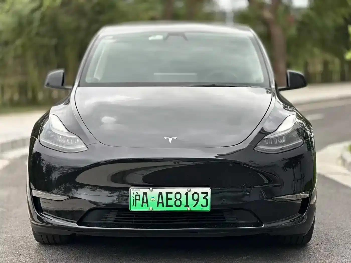 Model Y 2021 Standard Range Rear-Wheel Drive — миниатюра 2