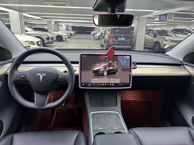 Model Y 2022 Rear-Wheel Drive — миниатюра 5